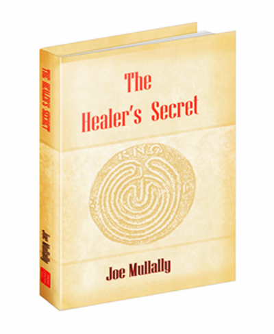 The Healer's Secret book